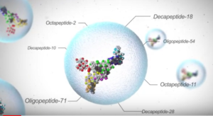 peptidi biomimetici